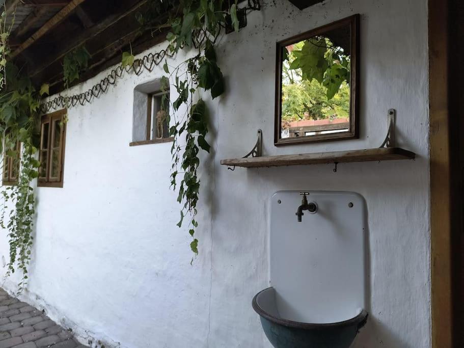 Chaloupka U Mostu Sv Jana V Centru Vodnan Vodnany Bagian luar foto